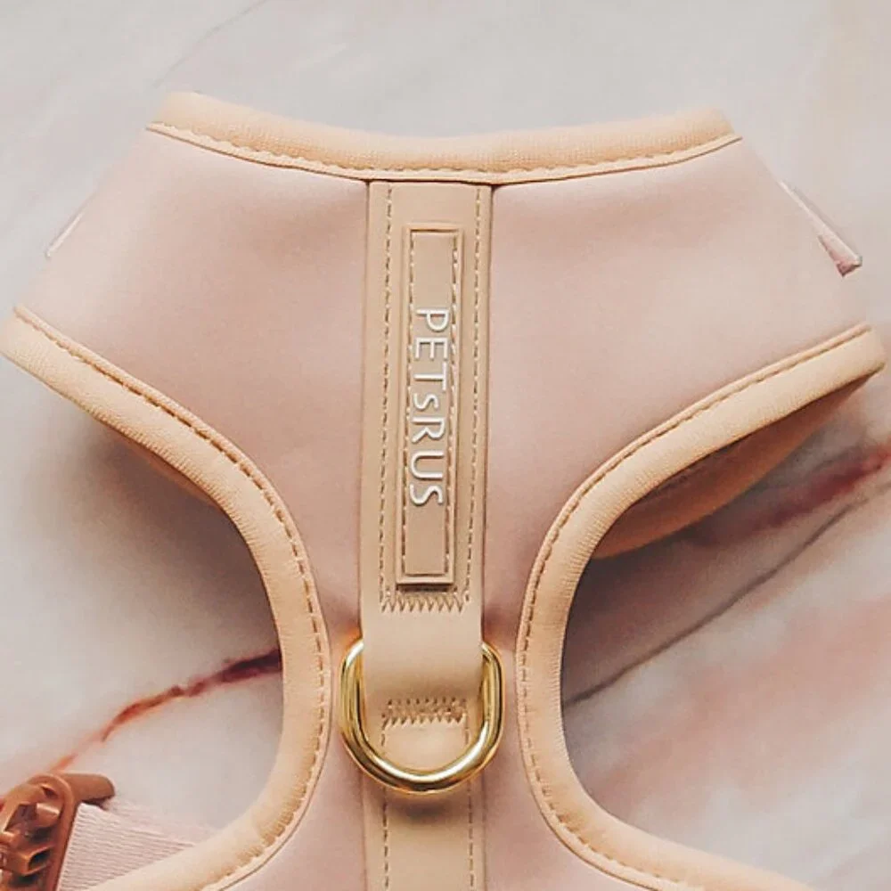 XXS Premium No Pull Dog Harness 2 Leash Clips Beige Leather Neoprene Gold